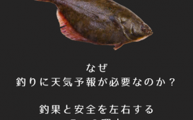 グレーと白　ビンテージ　釣り　ロゴ (5)